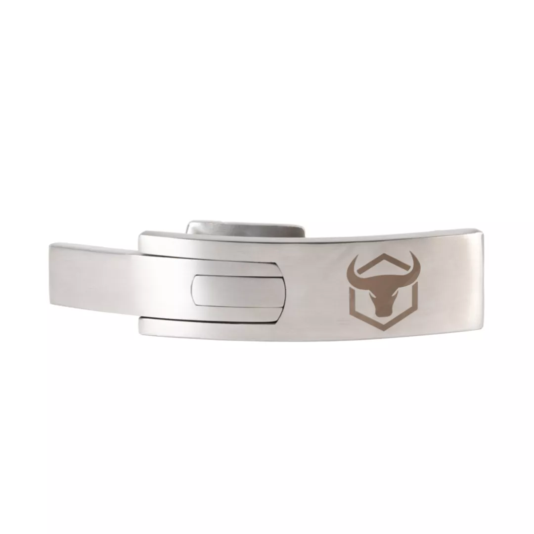 Lever Buckle - Stainless Steel D6